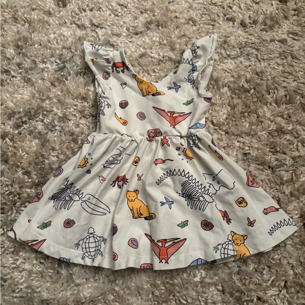 Monica + Andy Kids Dinosaur Print Dress - 12-18m